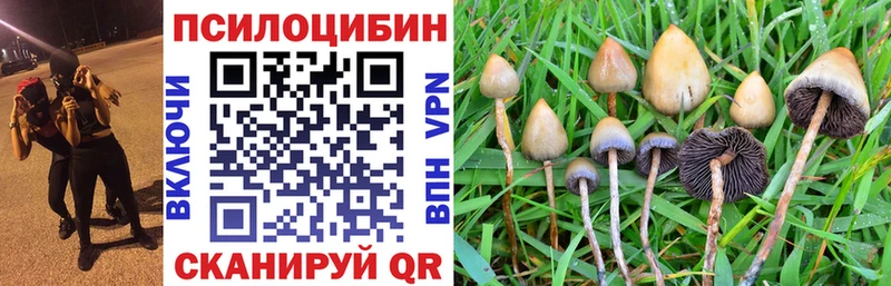 Псилоцибиновые грибы Cubensis  Купить закладки  Городище 